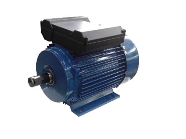 YL  系列雙值電容單項(xiàng)電動(dòng)機(jī)